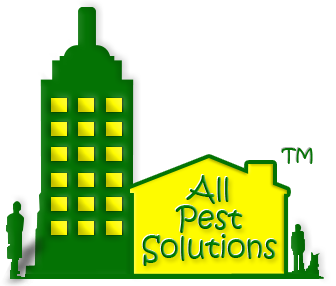 Pest Control Sachse
Bed Bug Treatment
Squirrel a Raccoon Removal
Termite Treatment